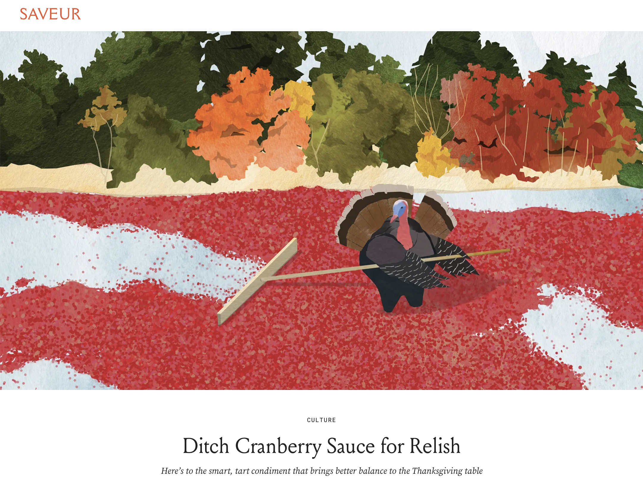 tram nguyen turkey cranberries saveur illustration