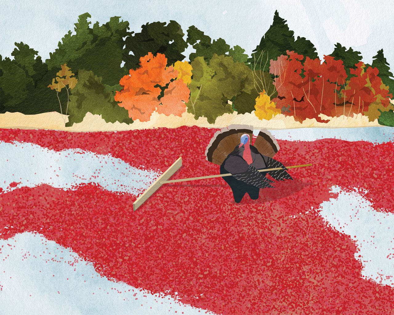 tram nguyen turkey cranberries saveur illustration